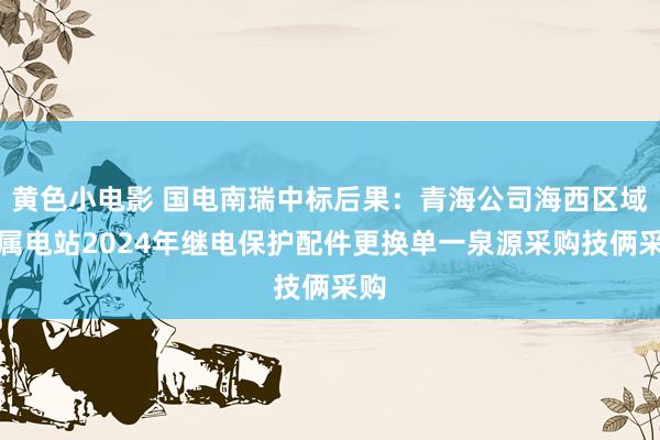 黄色小电影 国电南瑞中标后果：青海公司海西区域所属电站2024年继电保护配件更换单一泉源采购技俩采购