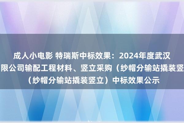 成人小电影 特瑞斯中标效果：2024年度武汉城市动力供应链有限公司输配工程材料、竖立采购（纱帽分输站撬装竖立）中标效果公示