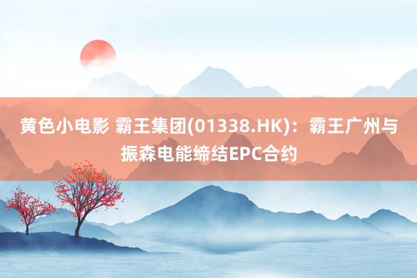 黄色小电影 霸王集团(01338.HK)：霸王广州与振森电能缔结EPC合约