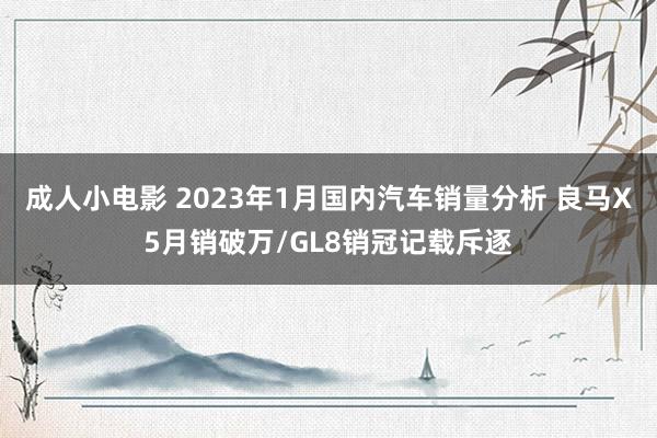 成人小电影 2023年1月国内汽车销量分析 良马X5月销破万/GL8销冠记载斥逐