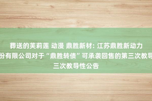 葬送的芙莉莲 动漫 鼎胜新材: 江苏鼎胜新动力材料股份有限公司对于“鼎胜转债”可承袭回售的第三次教导性公告