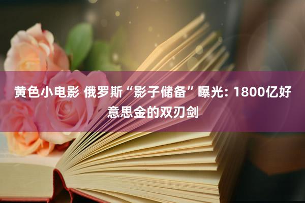 黄色小电影 俄罗斯“影子储备”曝光: 1800亿好意思金的双刃剑