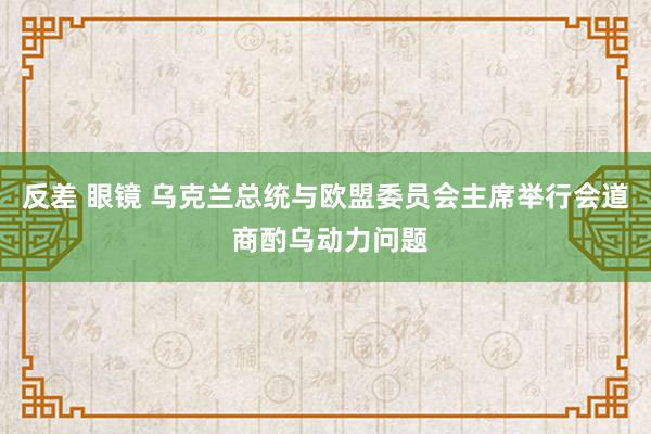 反差 眼镜 乌克兰总统与欧盟委员会主席举行会道 商酌乌动力问题