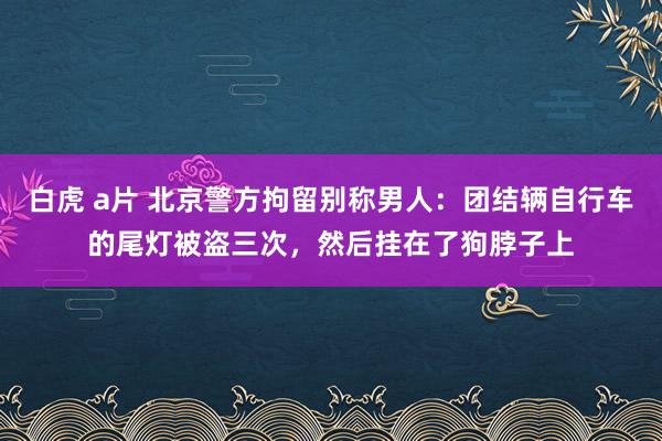 白虎 a片 北京警方拘留别称男人：团结辆自行车的尾灯被盗三次，然后挂在了狗脖子上