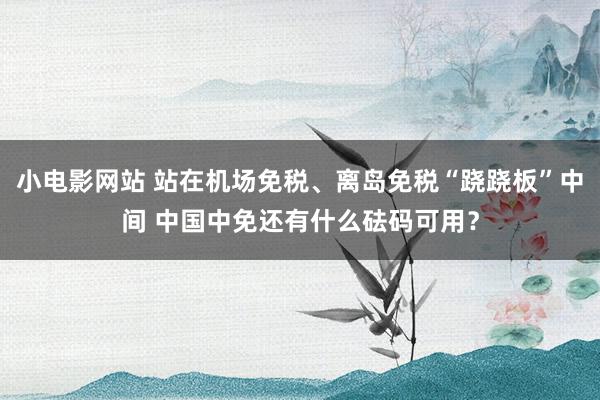 小电影网站 站在机场免税、离岛免税“跷跷板”中间 中国中免还有什么砝码可用？