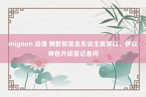 mignon 动漫 酬酢部发言东谈主就黎以、伊以神色升级答记者问