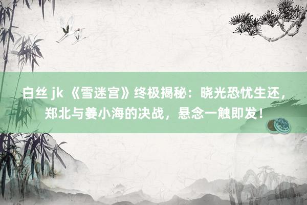 白丝 jk 《雪迷宫》终极揭秘：晓光恐忧生还，郑北与姜小海的决战，悬念一触即发！