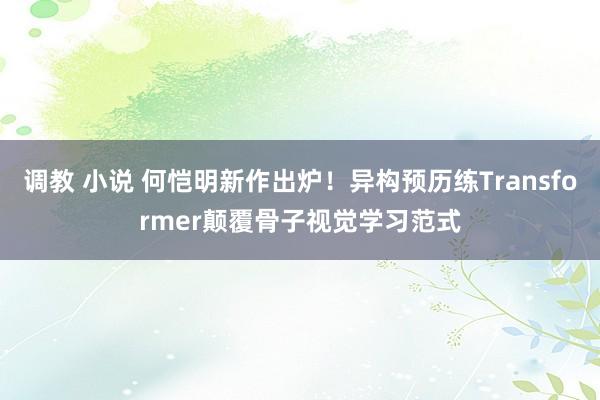 调教 小说 何恺明新作出炉！异构预历练Transformer颠覆骨子视觉学习范式