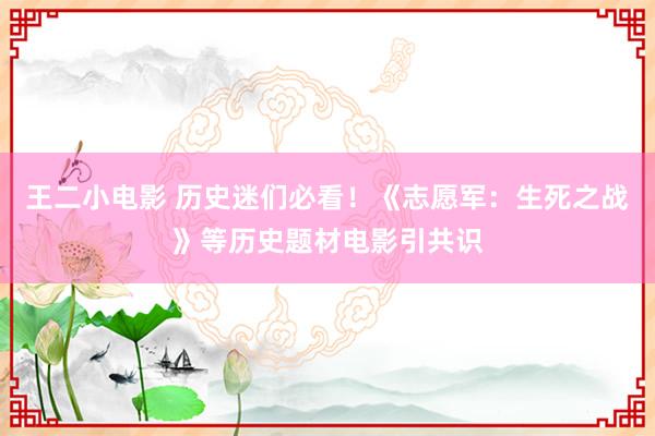 王二小电影 历史迷们必看！《志愿军：生死之战》等历史题材电影引共识