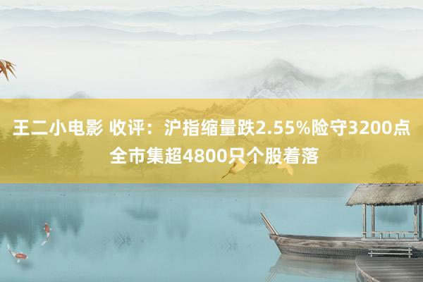 王二小电影 收评：沪指缩量跌2.55%险守3200点 全市集超4800只个股着落