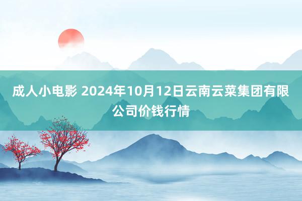 成人小电影 2024年10月12日云南云菜集团有限公司价钱行情