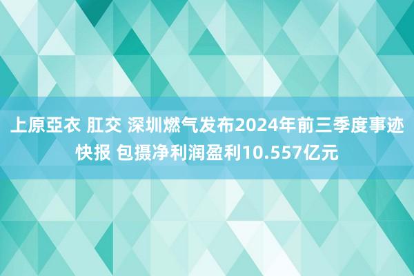 上原亞衣 肛交 深圳燃气发布2024年前三季度事迹快报 包摄净利润盈利10.557亿元