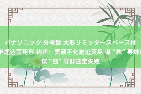 パナソニック 分電盤 大形リミッタースペース付 露出・半埋込両用形 钧声：冥顽不化难逃灭尽 谋“独”寻衅注定失败