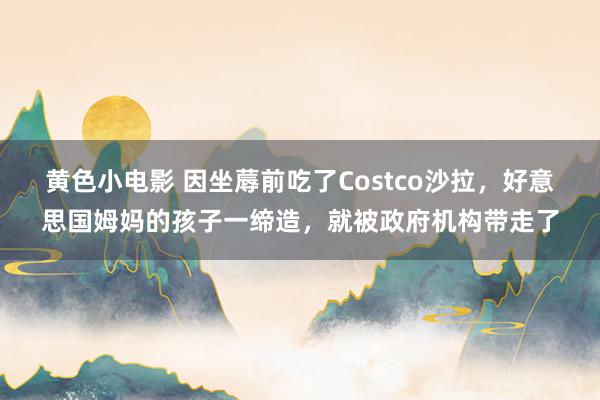 黄色小电影 因坐蓐前吃了Costco沙拉，好意思国姆妈的孩子一缔造，就被政府机构带走了