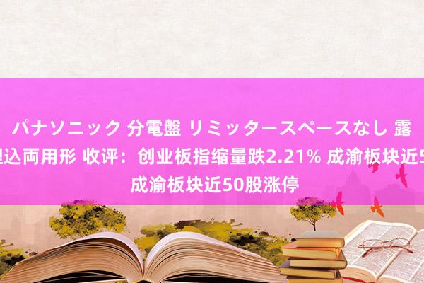 パナソニック 分電盤 リミッタースペースなし 露出・半埋込両用形 收评：创业板指缩量跌2.21% 成渝板块近50股涨停