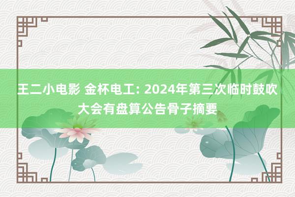 王二小电影 金杯电工: 2024年第三次临时鼓吹大会有盘算公告骨子摘要