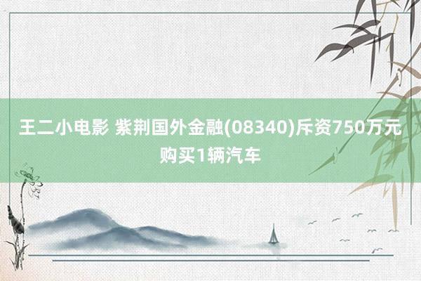 王二小电影 紫荆国外金融(08340)斥资750万元购买1辆汽车