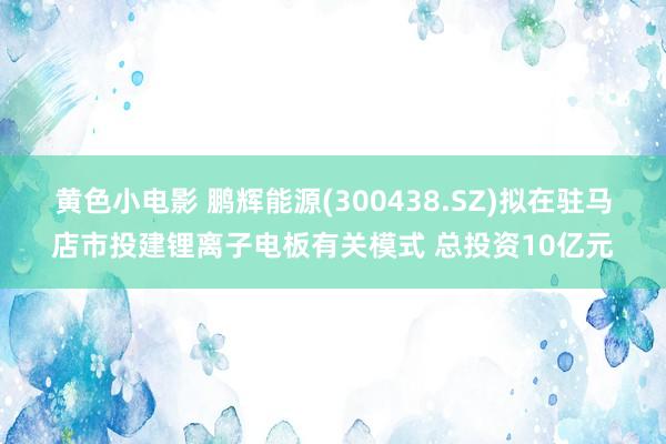 黄色小电影 鹏辉能源(300438.SZ)拟在驻马店市投建锂离子电板有关模式 总投资10亿元