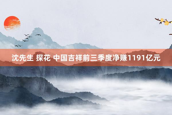 沈先生 探花 中国吉祥前三季度净赚1191亿元