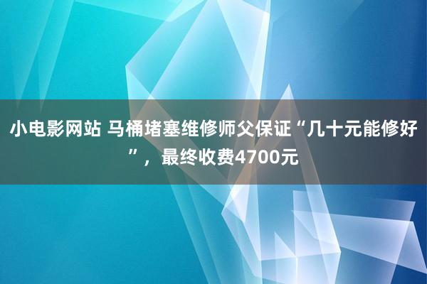 小电影网站 马桶堵塞维修师父保证“几十元能修好”，最终收费4700元