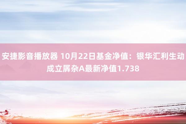 安捷影音播放器 10月22日基金净值：银华汇利生动成立羼杂A最新净值1.738