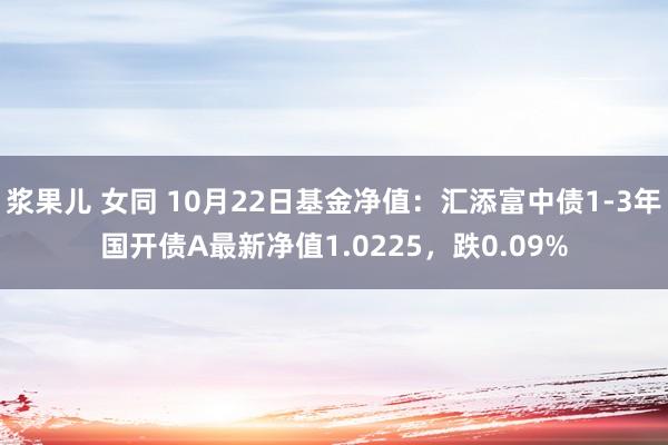 浆果儿 女同 10月22日基金净值：汇添富中债1-3年国开债A最新净值1.0225，跌0.09%