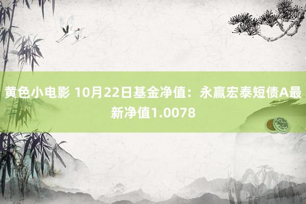 黄色小电影 10月22日基金净值：永赢宏泰短债A最新净值1.0078