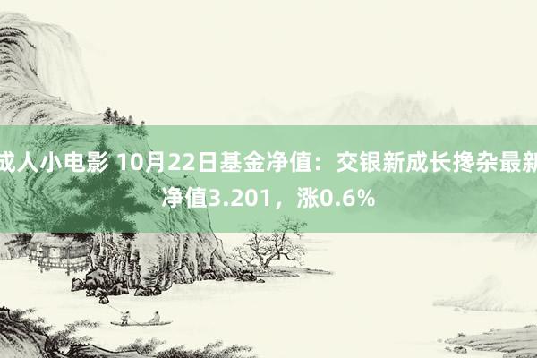 成人小电影 10月22日基金净值：交银新成长搀杂最新净值3.201，涨0.6%