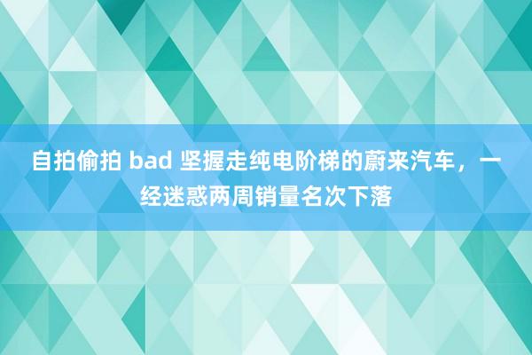 自拍偷拍 bad 坚握走纯电阶梯的蔚来汽车，一经迷惑两周销量名次下落