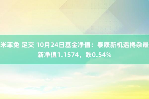 米菲兔 足交 10月24日基金净值：泰康新机遇搀杂最新净值1.1574，跌0.54%