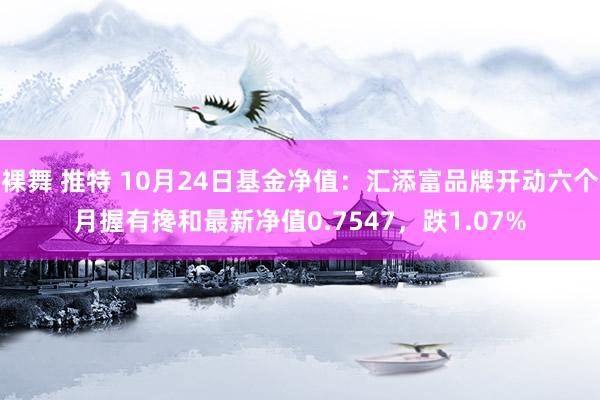 裸舞 推特 10月24日基金净值：汇添富品牌开动六个月握有搀和最新净值0.7547，跌1.07%