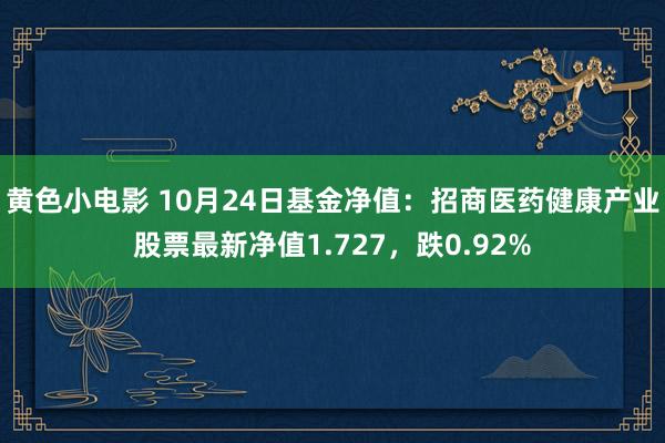 黄色小电影 10月24日基金净值：招商医药健康产业股票最新净值1.727，跌0.92%