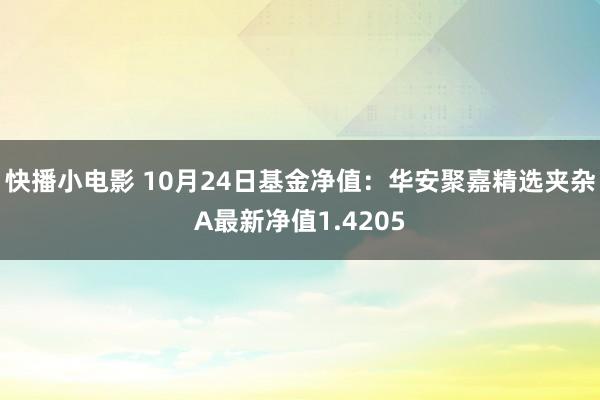 快播小电影 10月24日基金净值：华安聚嘉精选夹杂A最新净值1.4205