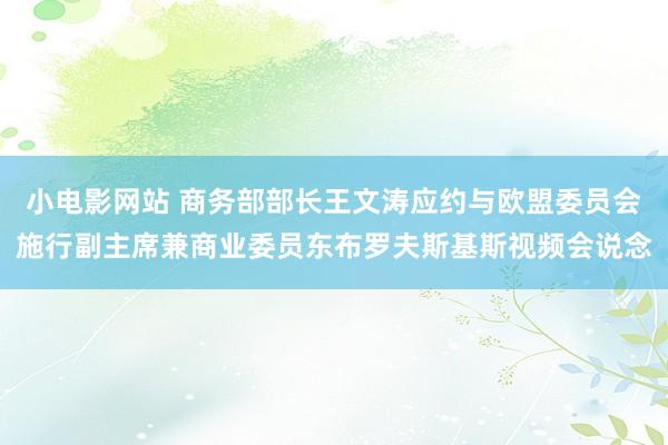 小电影网站 商务部部长王文涛应约与欧盟委员会施行副主席兼商业委员东布罗夫斯基斯视频会说念