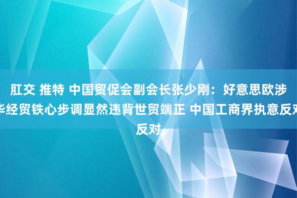 肛交 推特 中国贸促会副会长张少刚：好意思欧涉华经贸铁心步调显然违背世贸端正 中国工商界执意反对