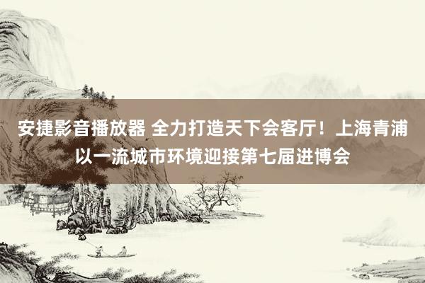 安捷影音播放器 全力打造天下会客厅！上海青浦以一流城市环境迎接第七届进博会