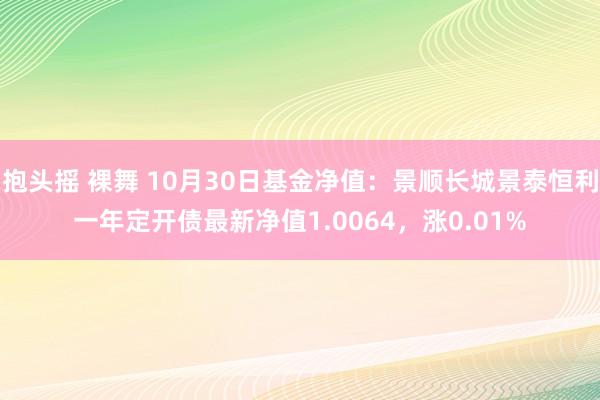 抱头摇 裸舞 10月30日基金净值：景顺长城景泰恒利一年定开债最新净值1.0064，涨0.01%