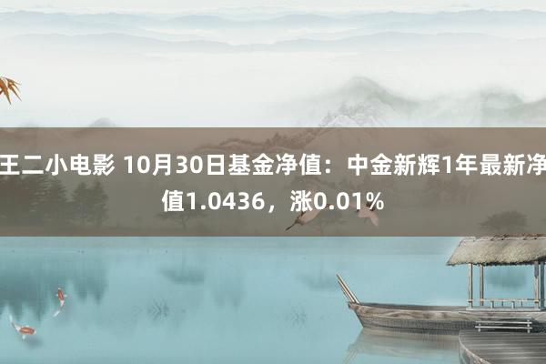 王二小电影 10月30日基金净值：中金新辉1年最新净值1.0436，涨0.01%