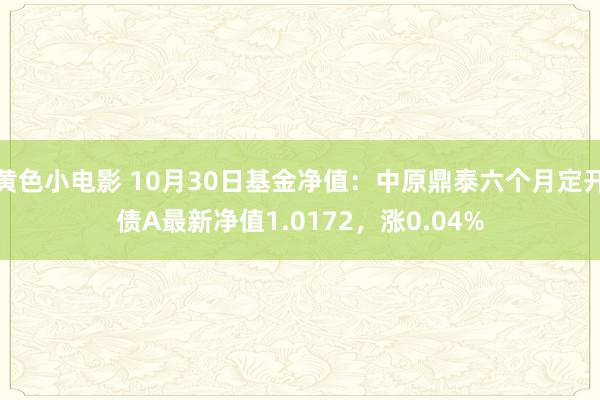 黄色小电影 10月30日基金净值：中原鼎泰六个月定开债A最新净值1.0172，涨0.04%