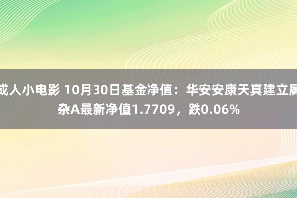 成人小电影 10月30日基金净值：华安安康天真建立羼杂A最新净值1.7709，跌0.06%