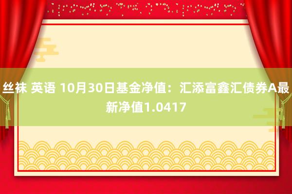 丝袜 英语 10月30日基金净值：汇添富鑫汇债券A最新净值1.0417