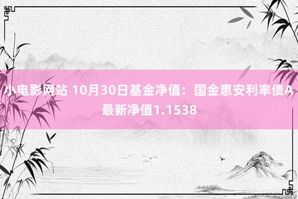 小电影网站 10月30日基金净值：国金惠安利率债A最新净值1.1538