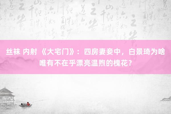 丝袜 内射 《大宅门》：四房妻妾中，白景琦为啥唯有不在乎漂亮温煦的槐花？