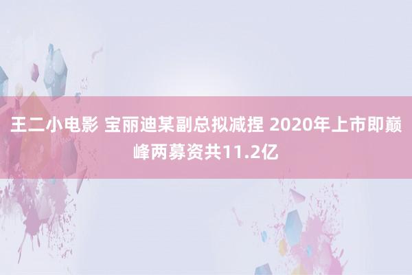 王二小电影 宝丽迪某副总拟减捏 2020年上市即巅峰两募资共11.2亿