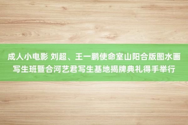 成人小电影 刘超、王一鹏使命室山阳合版图水画写生班暨合河艺君写生基地揭牌典礼得手举行