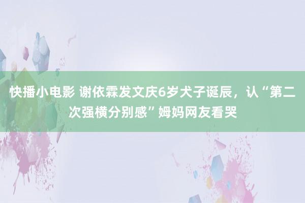 快播小电影 谢依霖发文庆6岁犬子诞辰，认“第二次强横分别感”姆妈网友看哭