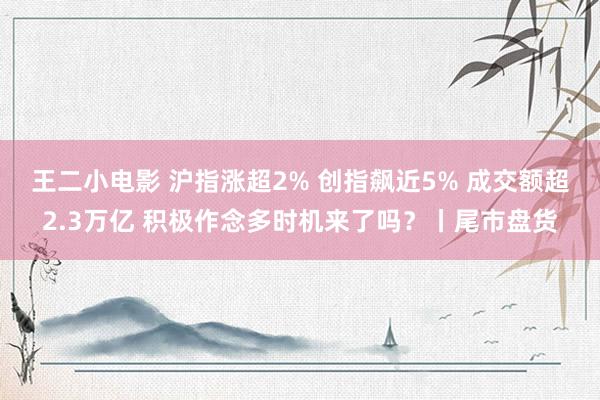 王二小电影 沪指涨超2% 创指飙近5% 成交额超2.3万亿 积极作念多时机来了吗？丨尾市盘货