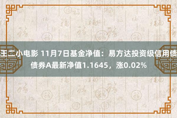 王二小电影 11月7日基金净值：易方达投资级信用债债券A最新净值1.1645，涨0.02%