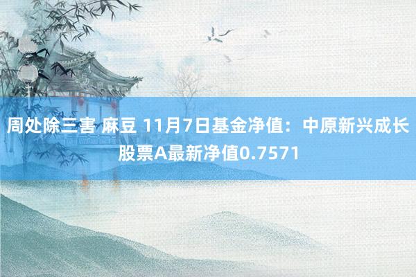 周处除三害 麻豆 11月7日基金净值：中原新兴成长股票A最新净值0.7571