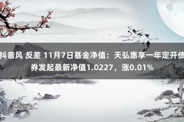 抖音风 反差 11月7日基金净值：天弘惠享一年定开债券发起最新净值1.0227，涨0.01%